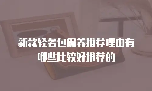 新款轻奢包保养推荐理由有哪些比较好推荐的