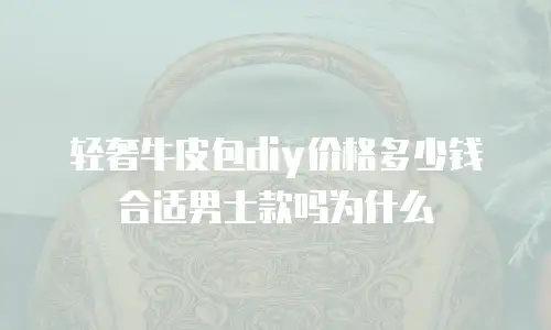 轻奢牛皮包diy价格多少钱合适男士款吗为什么