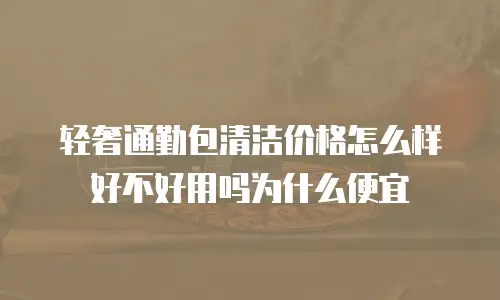 轻奢通勤包清洁价格怎么样好不好用吗为什么便宜