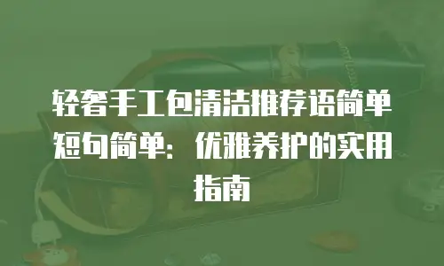 轻奢手工包清洁推荐语简单短句简单：优雅养护的实用指南
