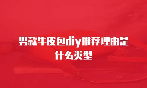 男款牛皮包diy推荐理由是什么类型