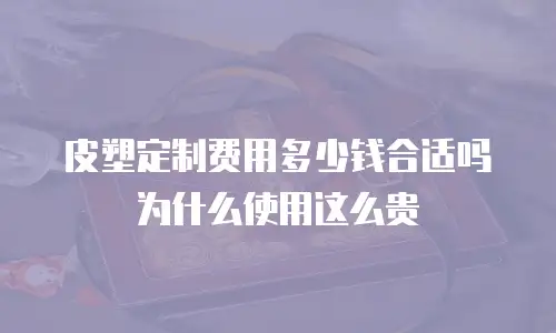 皮塑定制费用多少钱合适吗为什么使用这么贵