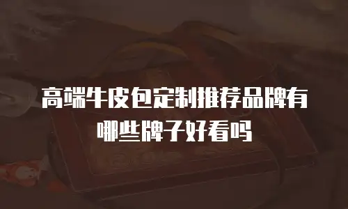 高端牛皮包定制推荐品牌有哪些牌子好看吗