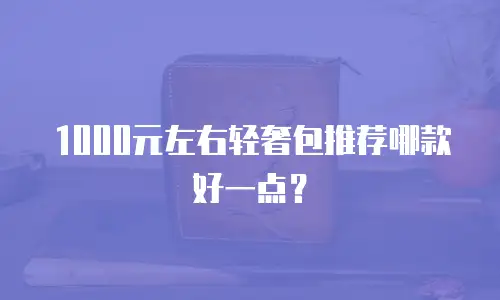 1000元左右轻奢包推荐哪款好一点？