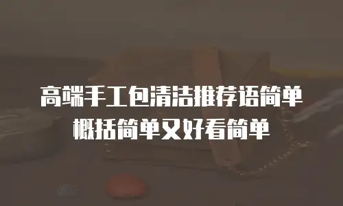 高端手工包清洁推荐语简单概括简单又好看简单