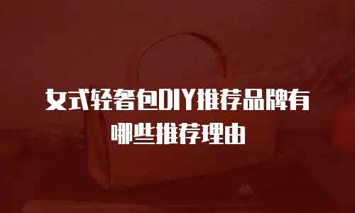 女式轻奢包DIY推荐品牌有哪些推荐理由