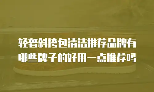 轻奢斜挎包清洁推荐品牌有哪些牌子的好用一点推荐吗