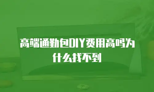 高端通勤包DIY费用高吗为什么找不到