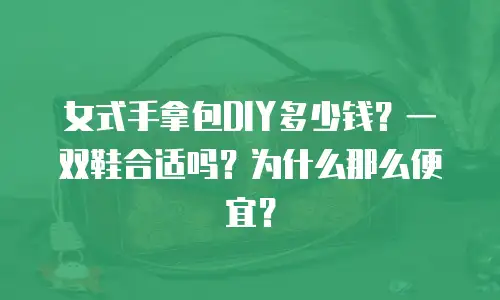 女式手拿包DIY多少钱？一双鞋合适吗？为什么那么便宜？