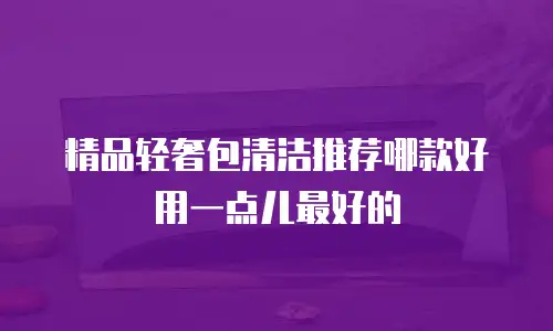 精品轻奢包清洁推荐哪款好用一点儿最好的