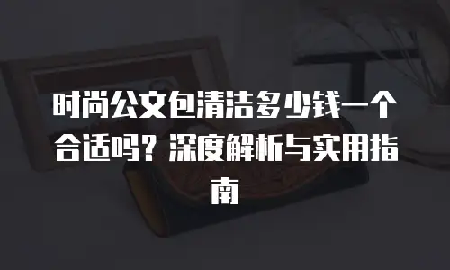 时尚公文包清洁多少钱一个合适吗？深度解析与实用指南