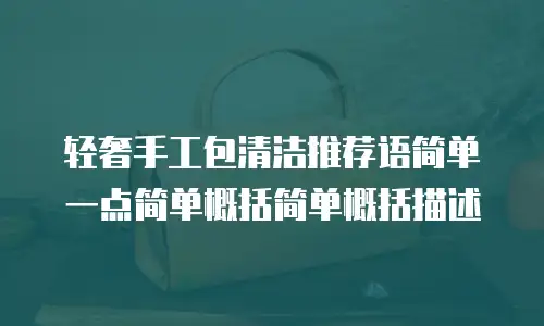 轻奢手工包清洁推荐语简单一点简单概括简单概括描述