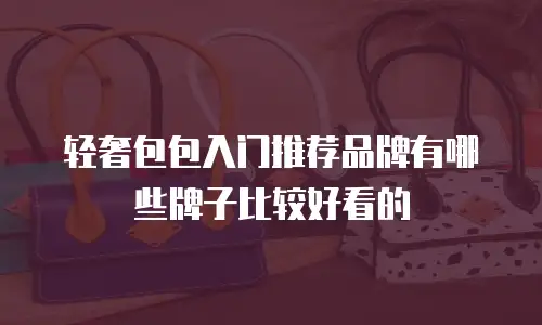 轻奢包包入门推荐品牌有哪些牌子比较好看的