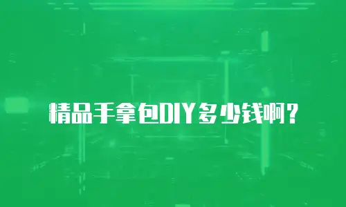 精品手拿包DIY多少钱啊？