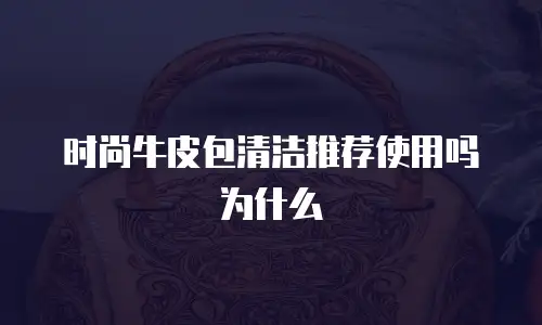 时尚牛皮包清洁推荐使用吗为什么