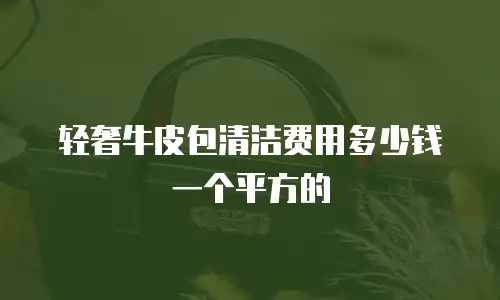 轻奢牛皮包清洁费用多少钱一个平方的