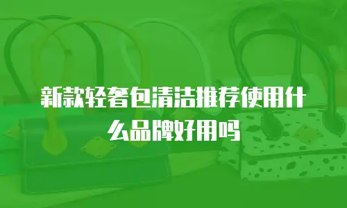 新款轻奢包清洁推荐使用什么品牌好用吗
