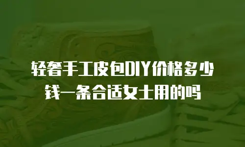 轻奢手工皮包DIY价格多少钱一条合适女士用的吗