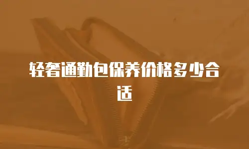 轻奢通勤包保养价格多少合适