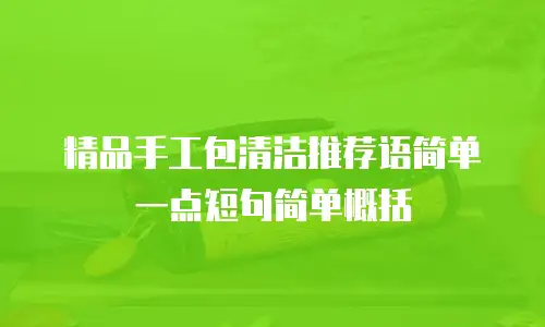 精品手工包清洁推荐语简单一点短句简单概括