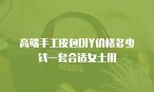 高端手工皮包DIY价格多少钱一套合适女士用