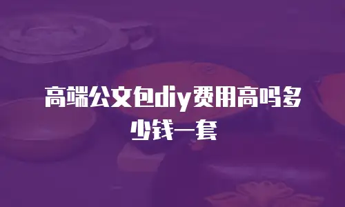高端公文包diy费用高吗多少钱一套
