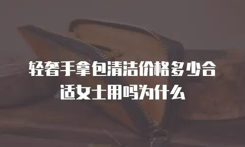 轻奢手拿包清洁价格多少合适女士用吗为什么