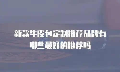 新款牛皮包定制推荐品牌有哪些最好的推荐吗