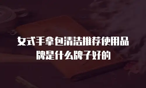 女式手拿包清洁推荐使用品牌是什么牌子好的