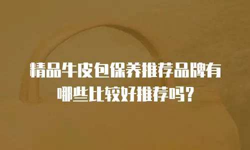 精品牛皮包保养推荐品牌有哪些比较好推荐吗？