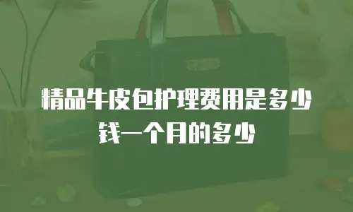 精品牛皮包护理费用是多少钱一个月的多少