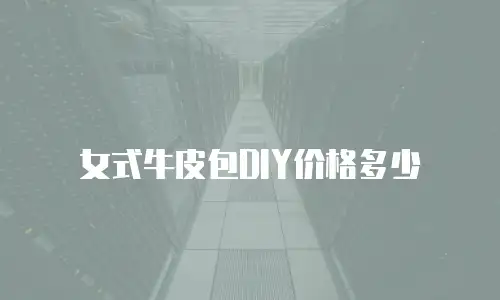 女式牛皮包DIY价格多少