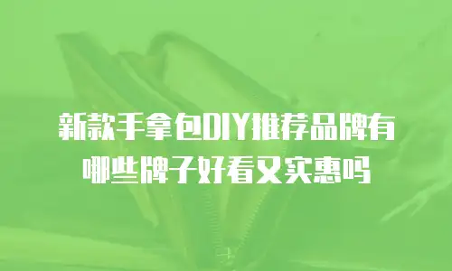 新款手拿包DIY推荐品牌有哪些牌子好看又实惠吗