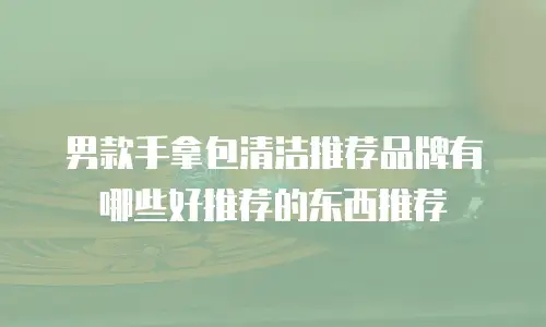 男款手拿包清洁推荐品牌有哪些好推荐的东西推荐