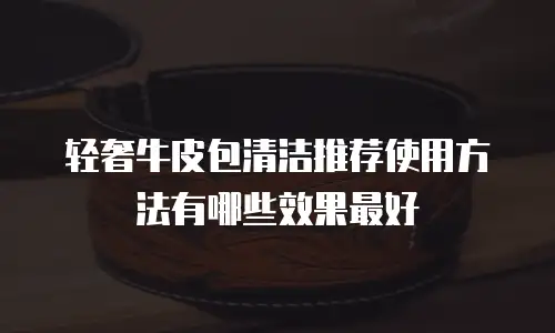 轻奢牛皮包清洁推荐使用方法有哪些效果最好