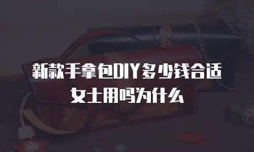 新款手拿包DIY多少钱合适女士用吗为什么