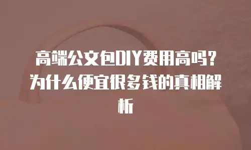 高端公文包DIY费用高吗？为什么便宜很多钱的真相解析