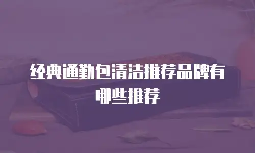 经典通勤包清洁推荐品牌有哪些推荐