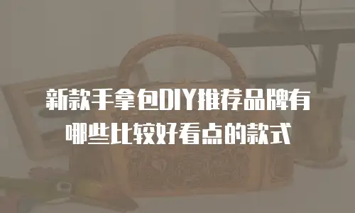 新款手拿包DIY推荐品牌有哪些比较好看点的款式