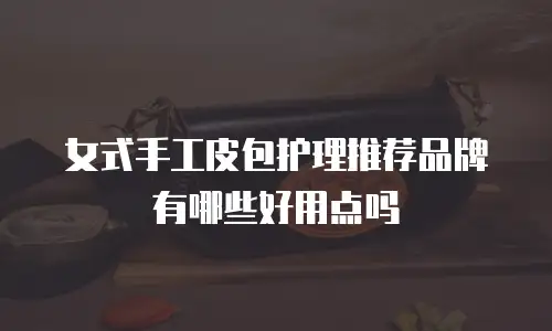 女式手工皮包护理推荐品牌有哪些好用点吗