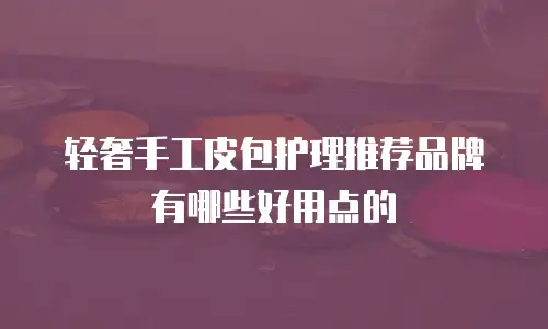 轻奢手工皮包护理推荐品牌有哪些好用点的