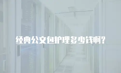 经典公文包护理多少钱啊？