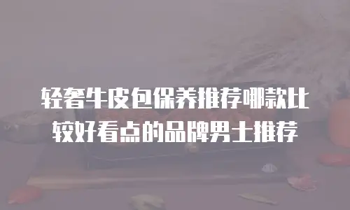轻奢牛皮包保养推荐哪款比较好看点的品牌男士推荐