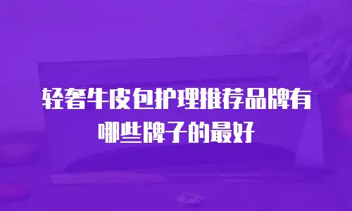 轻奢牛皮包护理推荐品牌有哪些牌子的最好