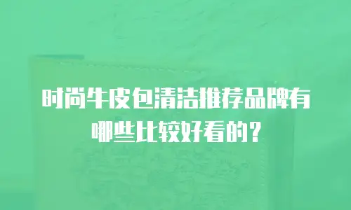 时尚牛皮包清洁推荐品牌有哪些比较好看的？