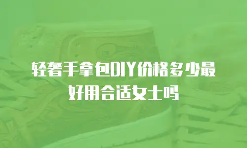 轻奢手拿包DIY价格多少最好用合适女士吗