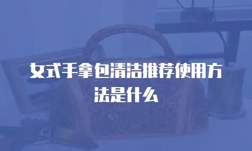 女式手拿包清洁推荐使用方法是什么