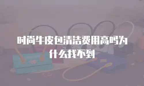 时尚牛皮包清洁费用高吗为什么找不到