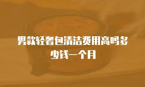 男款轻奢包清洁费用高吗多少钱一个月