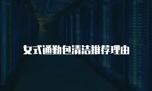女式通勤包清洁推荐理由